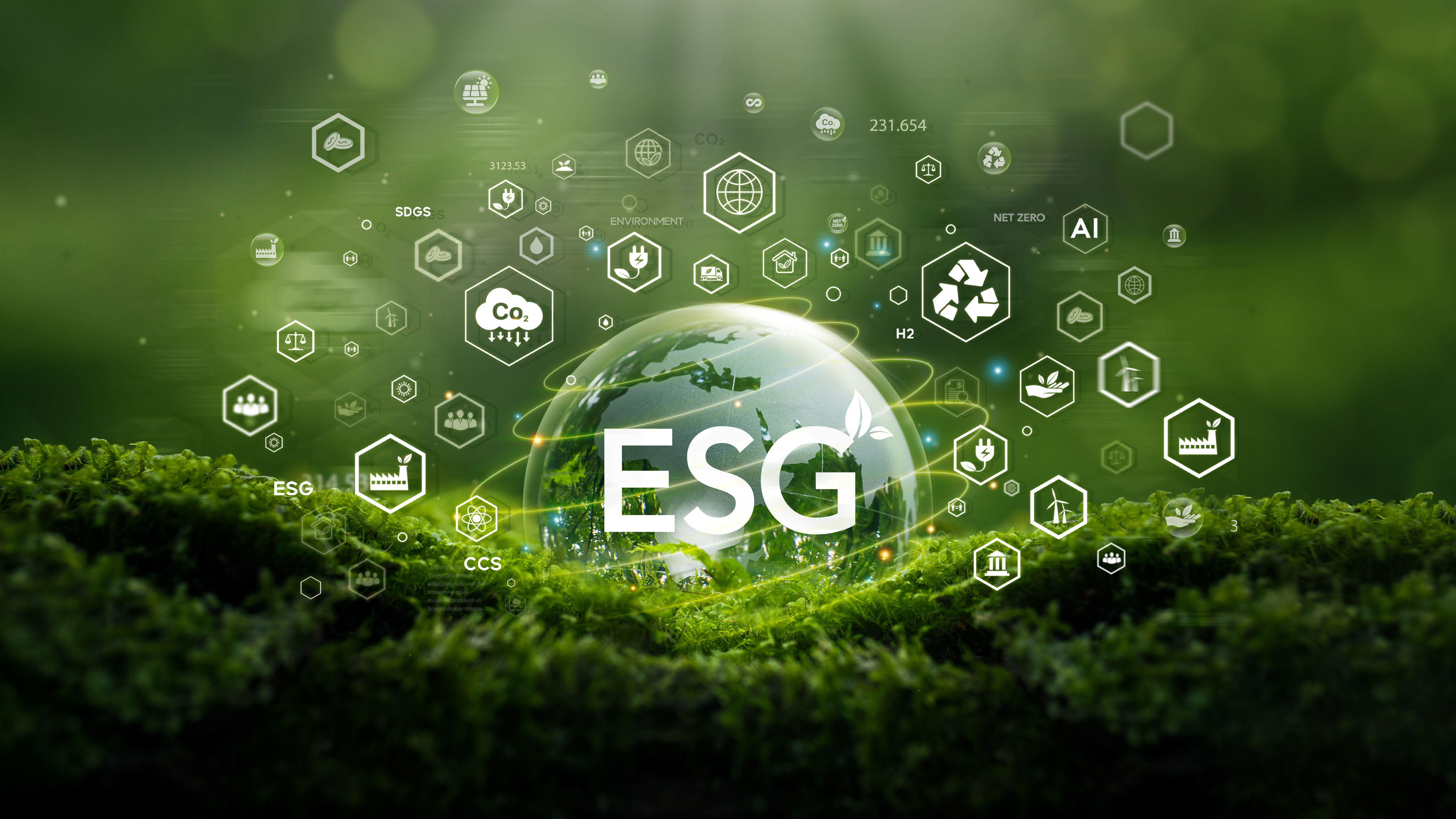 ESG Leader